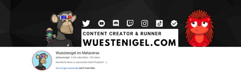 Wuestenigel im Metaverse YouTube channel