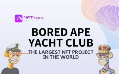 Bored Ape Yacht Club: Revolution and leader in the NFT market