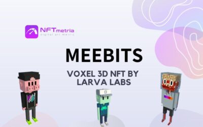 Meebits: Overview of metaverse-ready 3D NFTs from the Larva Labs