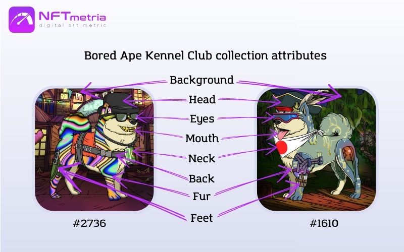 Bored Ape Kennel Club collection attributes