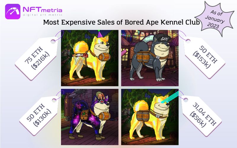Most Expensive Sales NFT Bored Ape Kennel Club