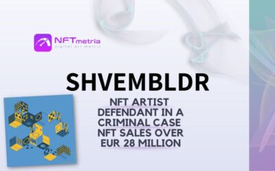 Who is Shvembldr? NFT artist who was prosecuted due to high income from NFT