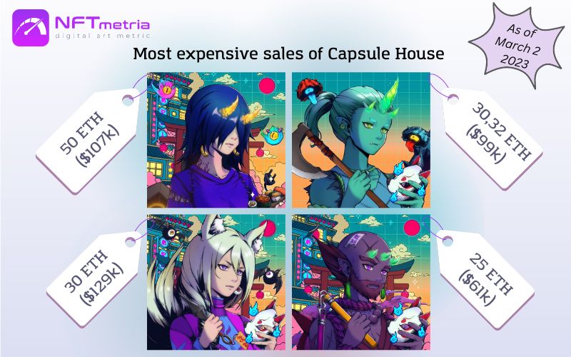 Most Expensive Sales NFT Capsule House