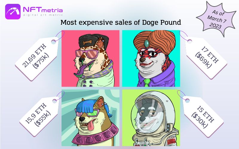 Most Expensive Sales NFT Doge Pound