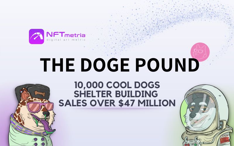 The Doge Pound: NFT project as a pop culture of crypto dogs