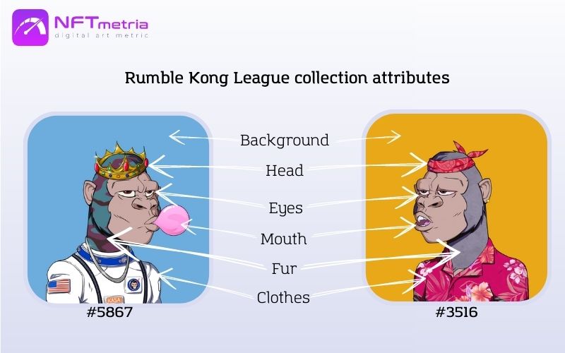 Rumble Kong League nft attributes