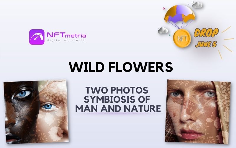 Drop Wild Flowers: an NFT diptych collection by Zuzana Breznanikova
