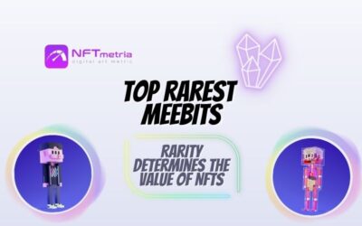 Top rarest of Meebits NFTs