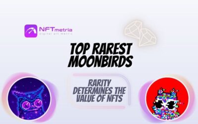 Top rarest of Moonbirds NFTs