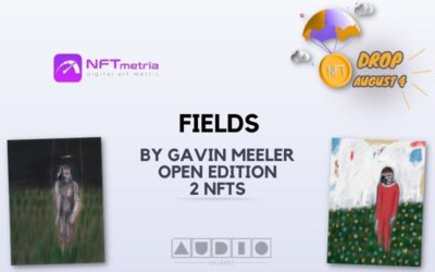 Drop Fields by Gavin Meeler: Journey to your mind with Audio Galleries